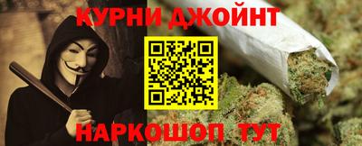 прущие грибы Бердск